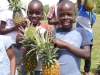 Enjoying fresh Pineapples