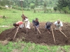 Learning to Grow Food